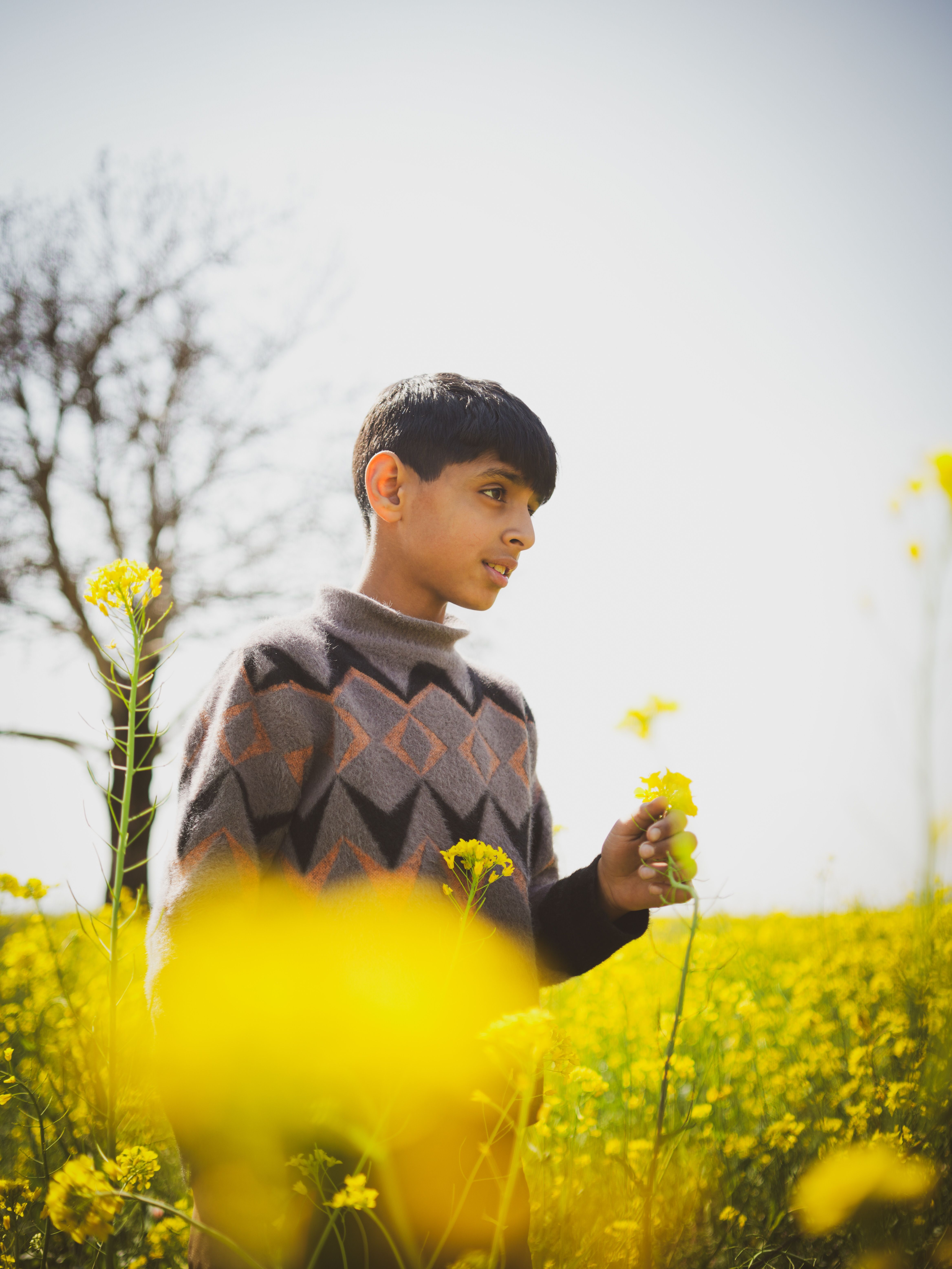 Boy Standing in a Field · Free Stock Photo