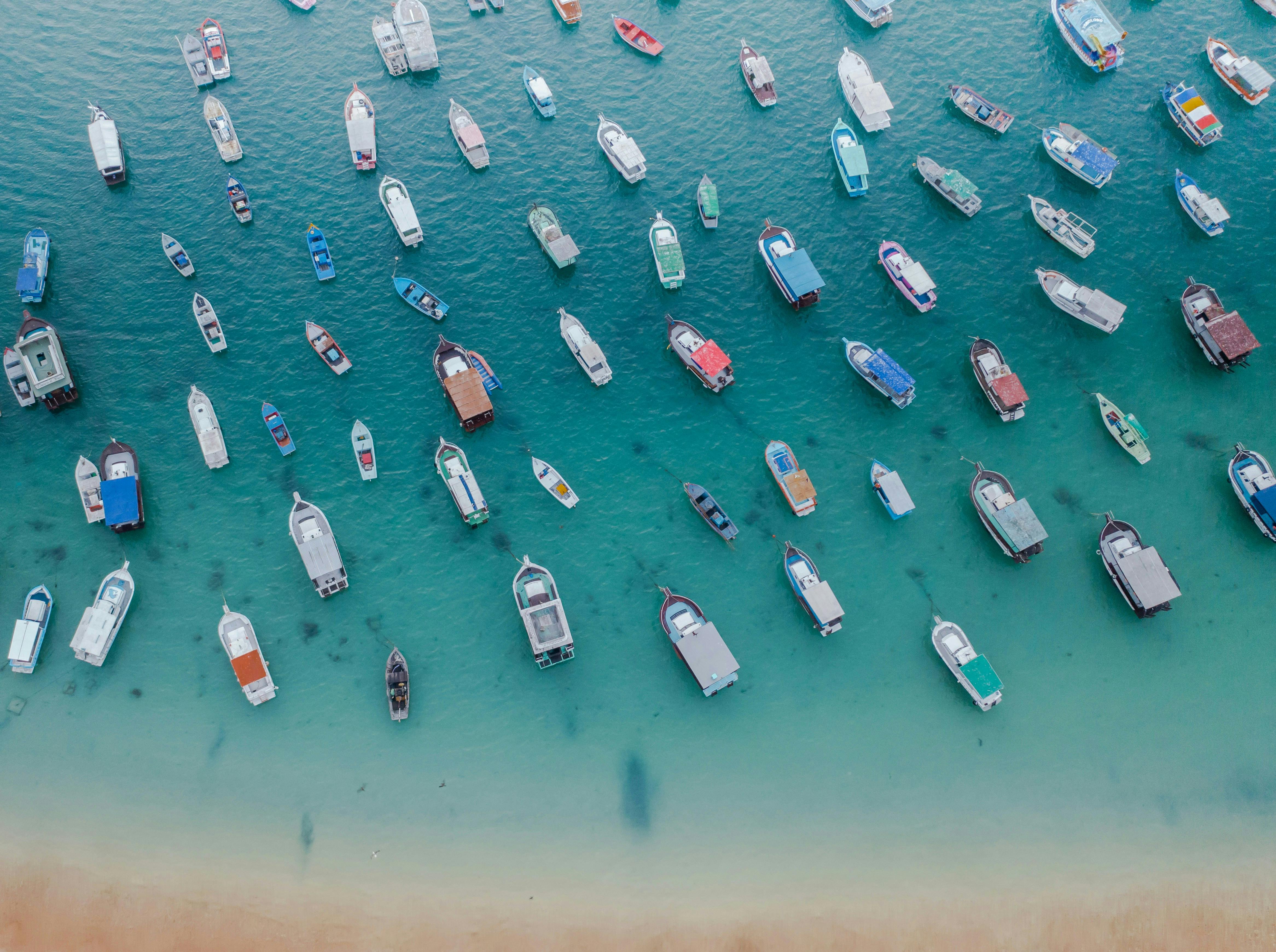 August Fleet Sales See Double-Digit Growth in Commercial and Rental Channels — Photo by Willian Justen de Vasconcellos on Pex