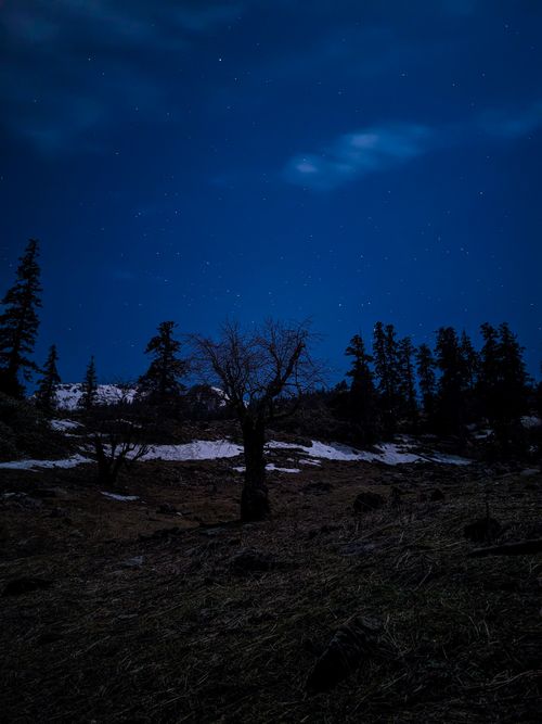 Free A serene mountain landscape under a starry night sky with silhouetted trees. Stock Photo