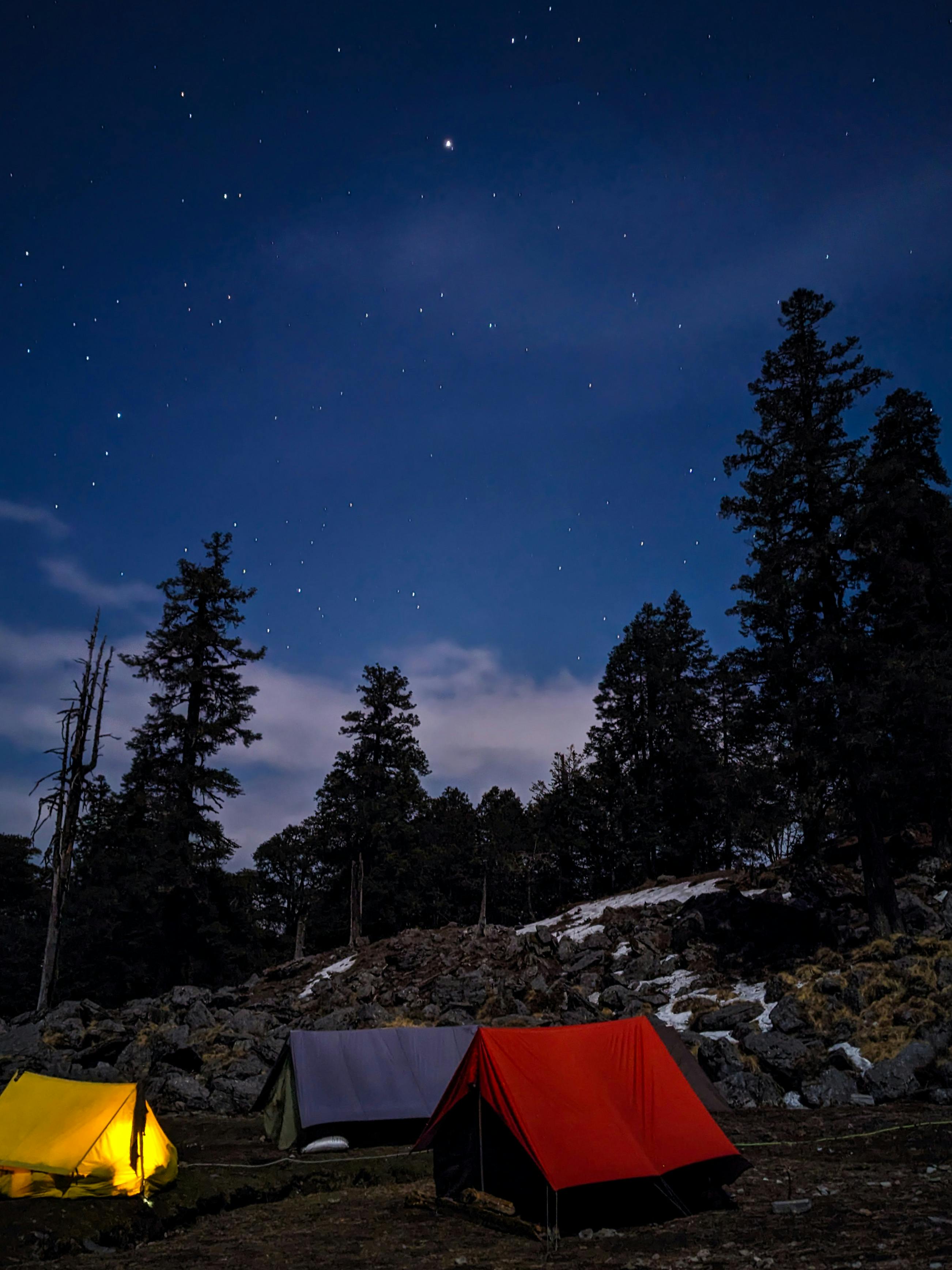 Tents set under a starry sky with forest backdrop, perfect for outdoor adventures.