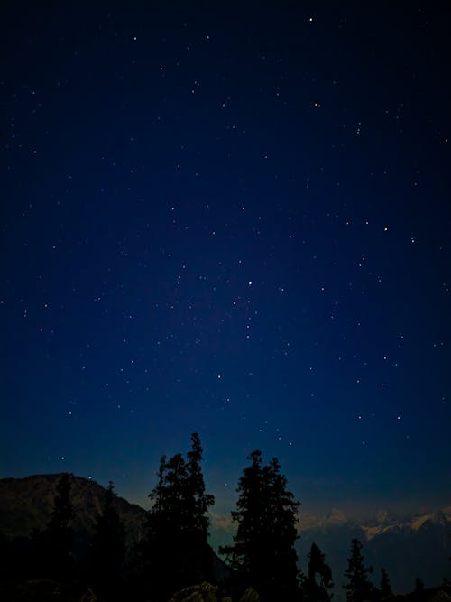 Fotos de stock gratuitas de árbol, astronomía, constelación