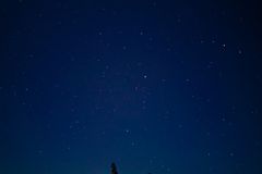 Captivating starry night sky with silhouettes of trees under a clear dark sky.