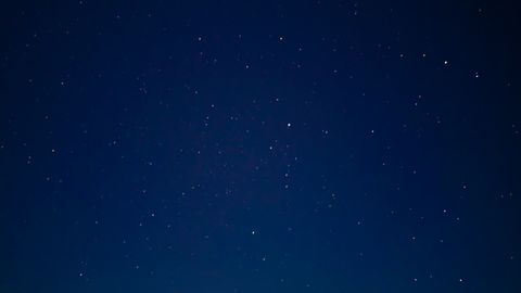 Captivating starry night sky with silhouettes of trees under a clear dark sky.