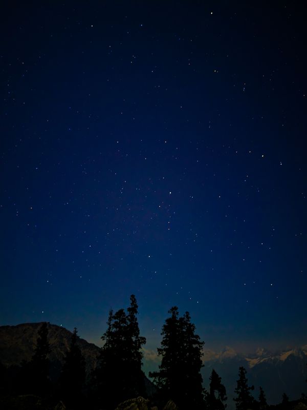 Starry night sky with tree silhouettes, photo by Debendra Das on Pexels