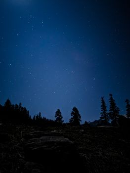 Captivating night sky filled with stars over a silhouette of trees and rural scenery.
