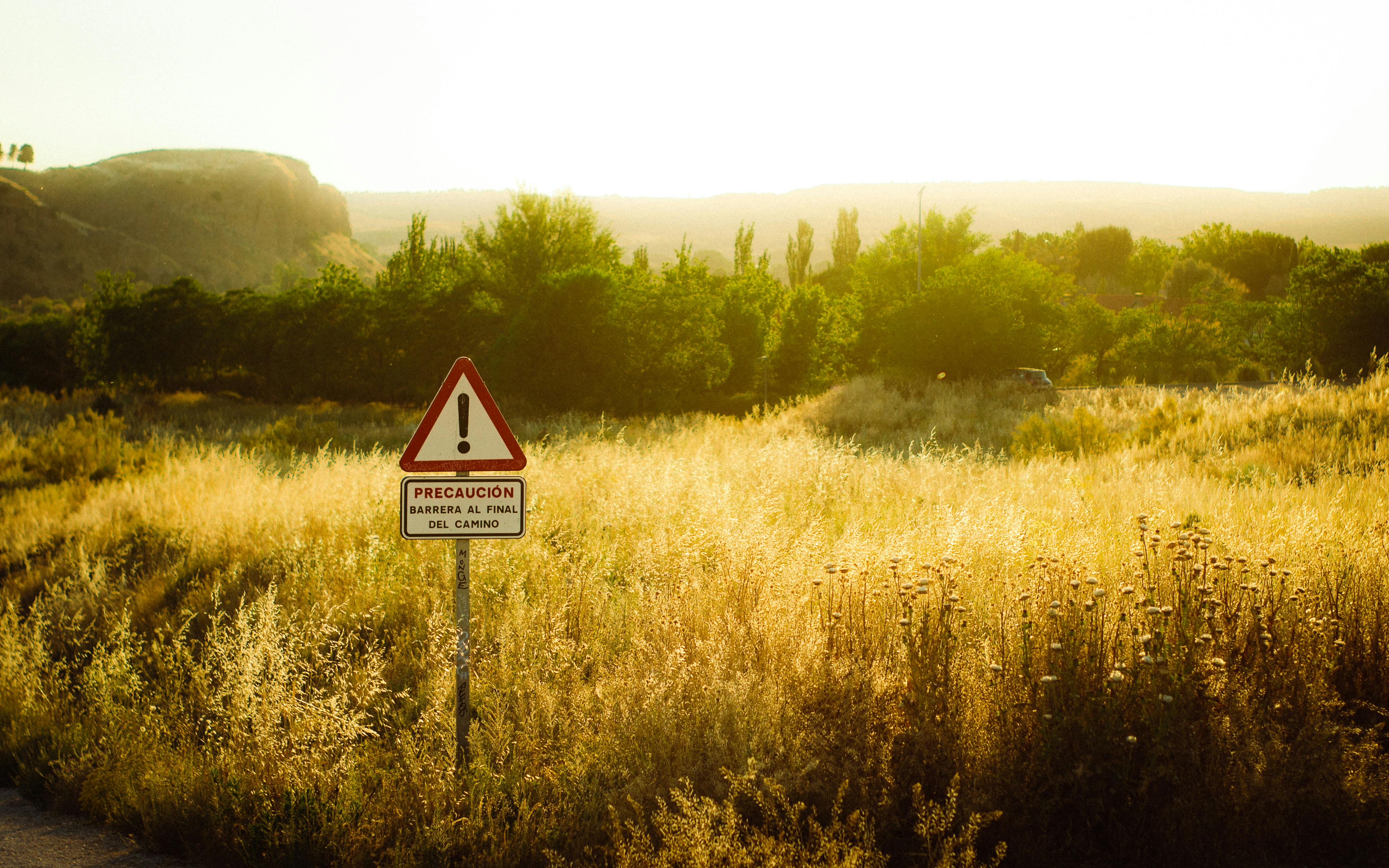 How Higgsfield AI Became 'Shitsfield AI': A Cautionary Tale of Overzealous Growth Hacking — Photo by Altamart on Pexels