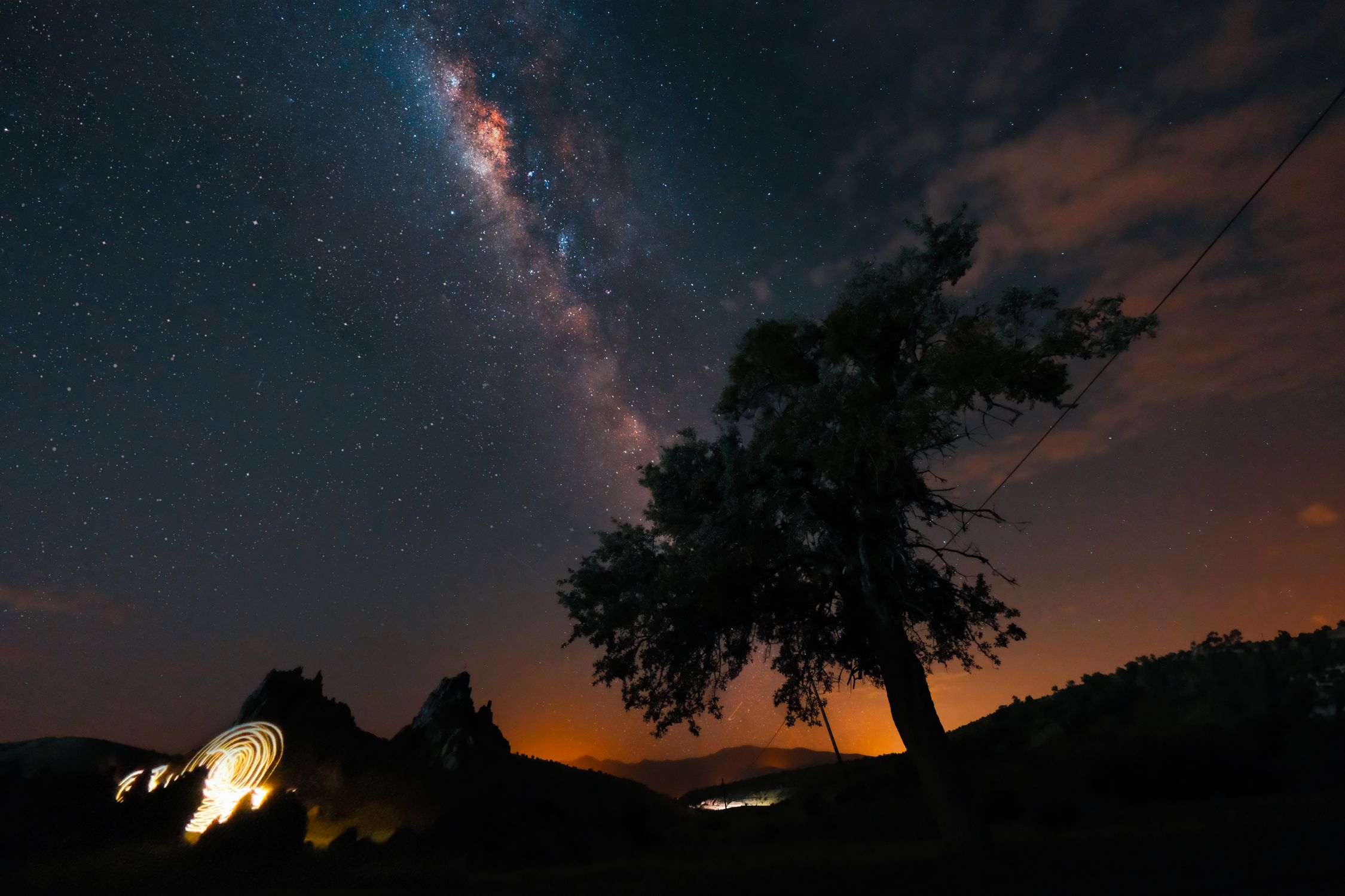 Tree against a Starry Sky · Free Stock Photo