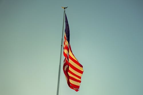 旗, 美国国旗, 美國 的 免费素材图片