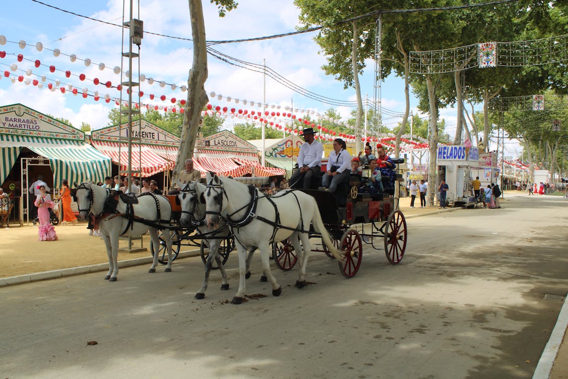 feria de la primavera en El Puerto de Santa María | coches de caballos - fotografía 3