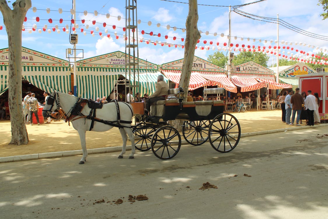 feria de la primavera en El Puerto de Santa María | coches de caballos - fotografía 2