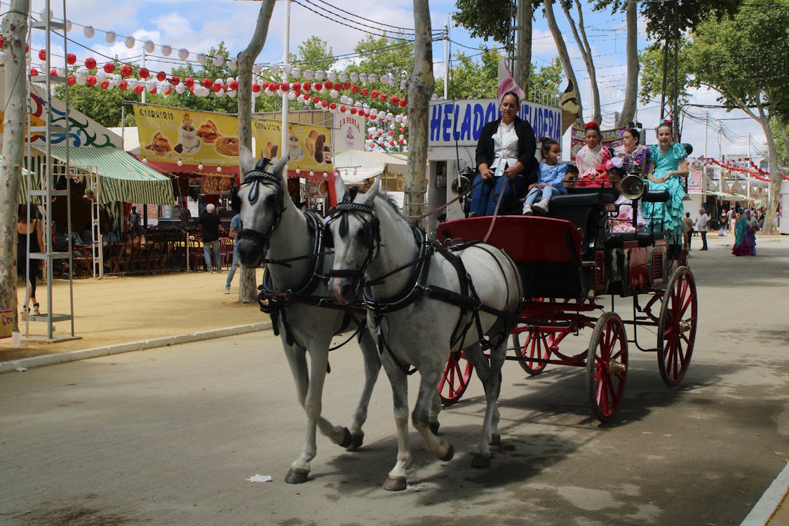 feria de la primavera en El Puerto de Santa María | coches de caballos - fotografía 1
