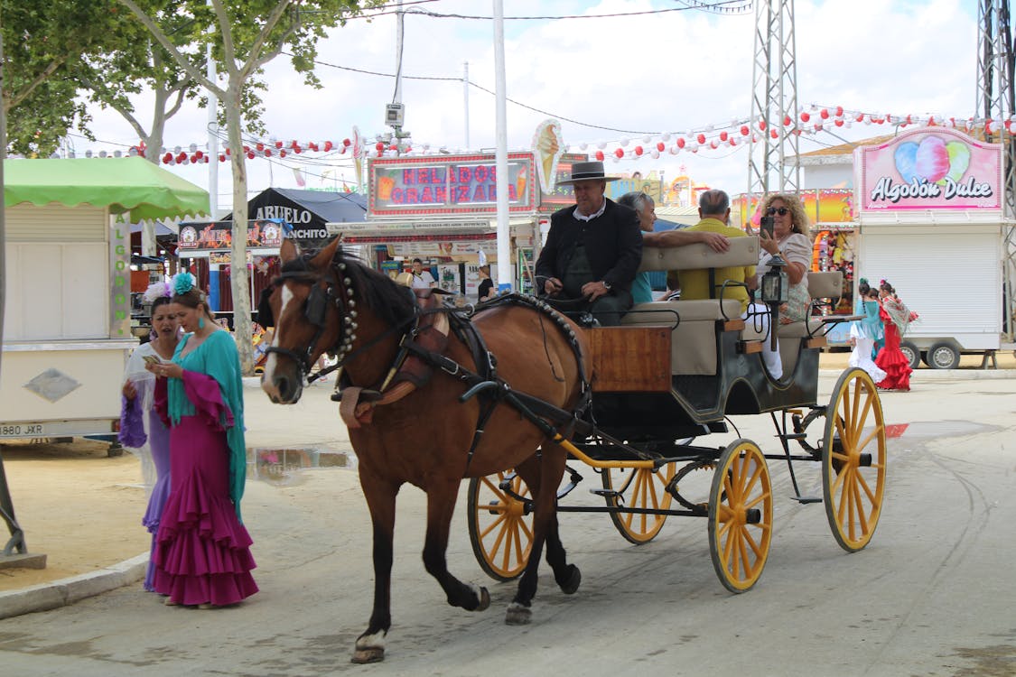 feria de la primavera en El Puerto de Santa María | coches de caballos - fotografía 5