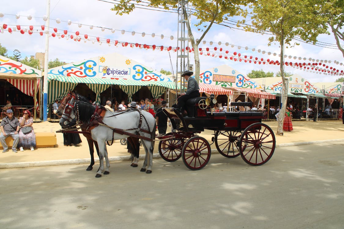 feria de la primavera en El Puerto de Santa María | coches de caballos - fotografía 4