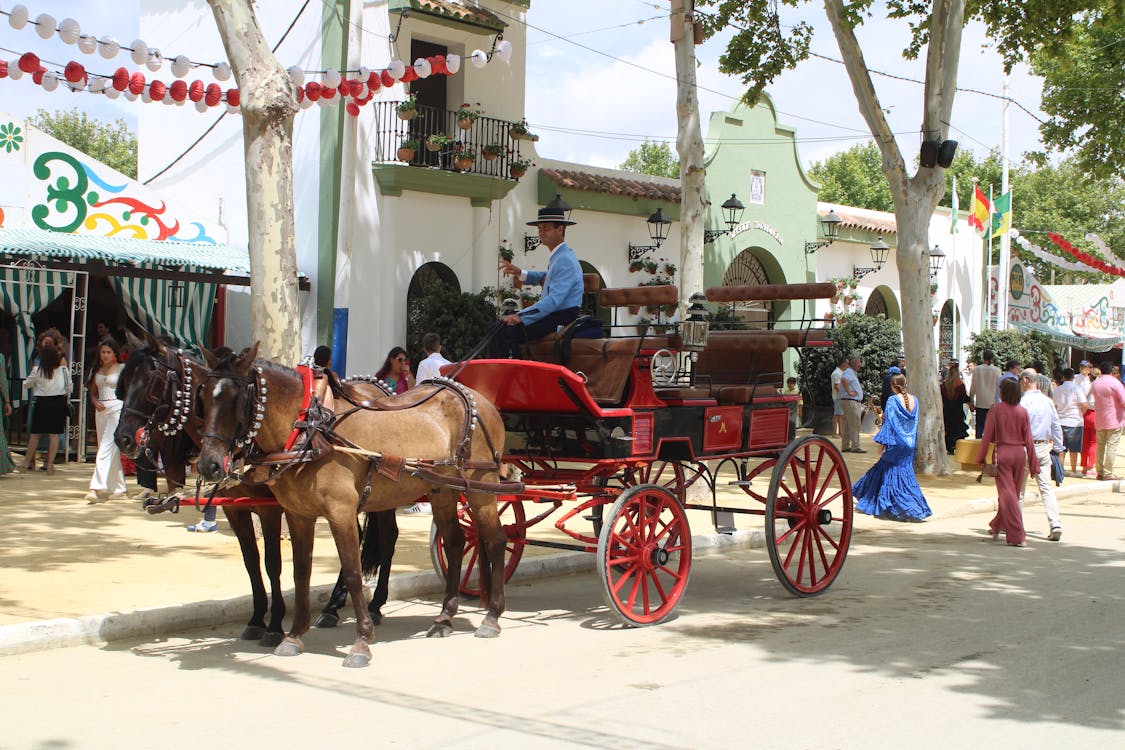 feria de la primavera en El Puerto de Santa María | coches de caballos - fotografía 8