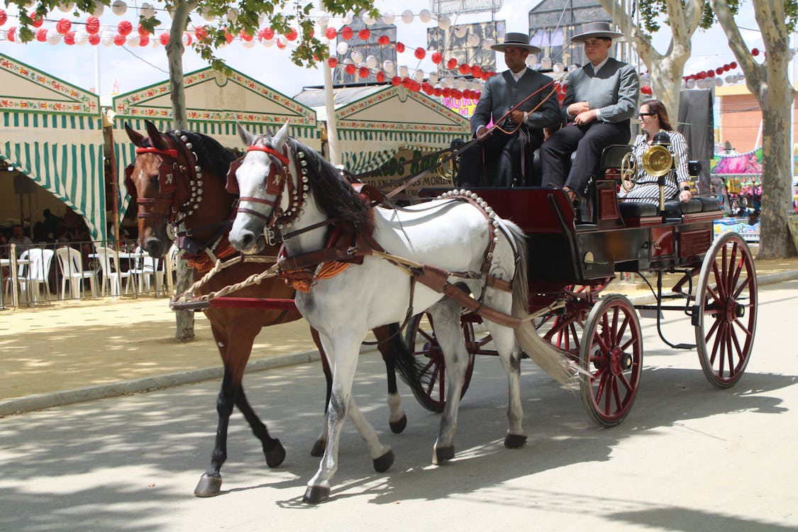 feria de la primavera en El Puerto de Santa María | coches de caballos - fotografía 7