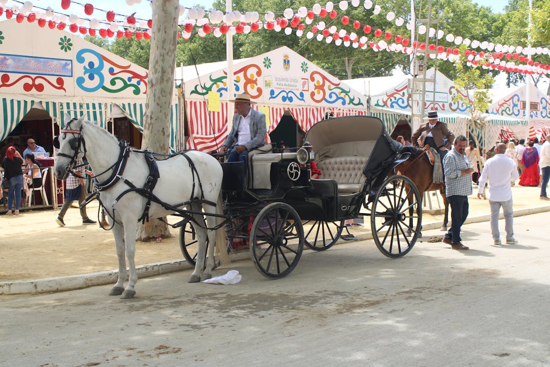feria de la primavera en El Puerto de Santa María | coches de caballos - fotografía 6