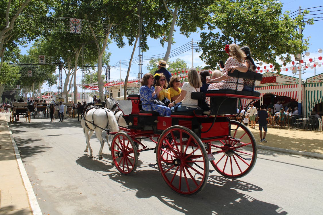 feria de la primavera en El Puerto de Santa María | coches de caballos - fotografía 9