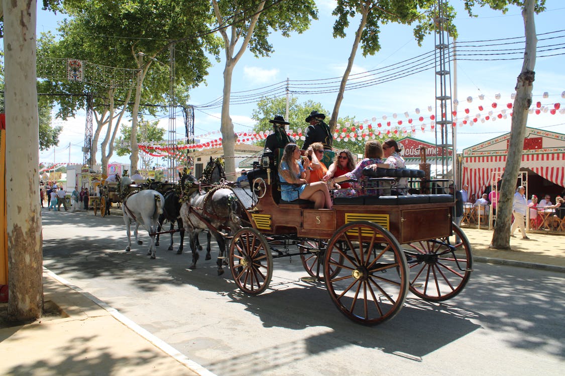 feria de la primavera en El Puerto de Santa María | coches de caballos - fotografía 12