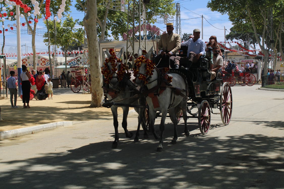 feria de la primavera en El Puerto de Santa María | coches de caballos - fotografía 11