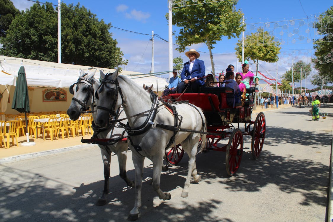 feria de la primavera en El Puerto de Santa María | coches de caballos - fotografía 10