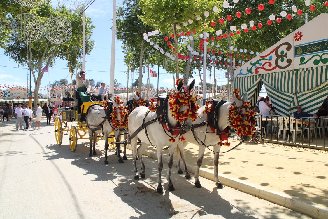 feria de la primavera en El Puerto de Santa María | coches de caballos - fotografía 15