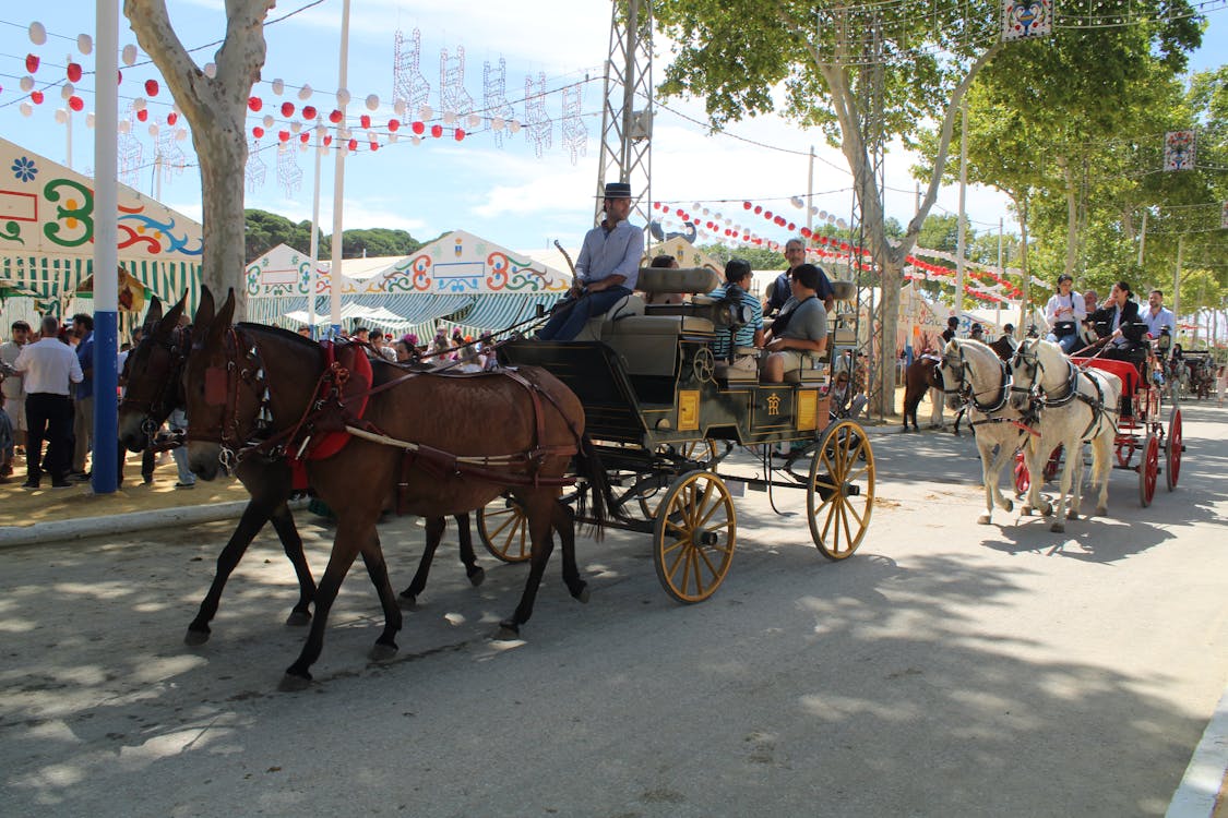 feria de la primavera en El Puerto de Santa María | coches de caballos - fotografía 14