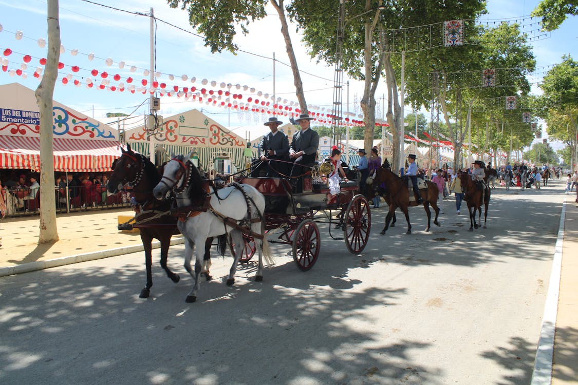 feria de la primavera en El Puerto de Santa María | coches de caballos - fotografía 13