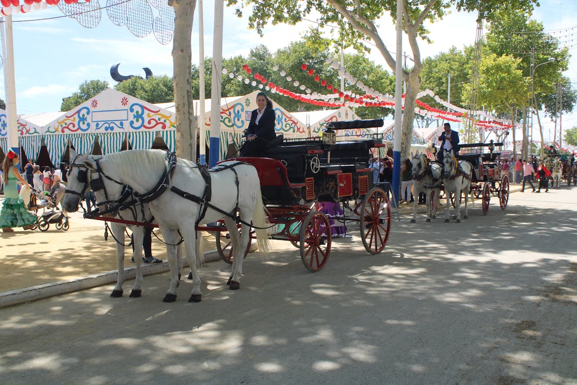 feria de la primavera en El Puerto de Santa María | coches de caballos - fotografía 17
