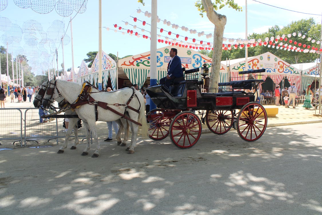 feria de la primavera en El Puerto de Santa María | coches de caballos - fotografía 16