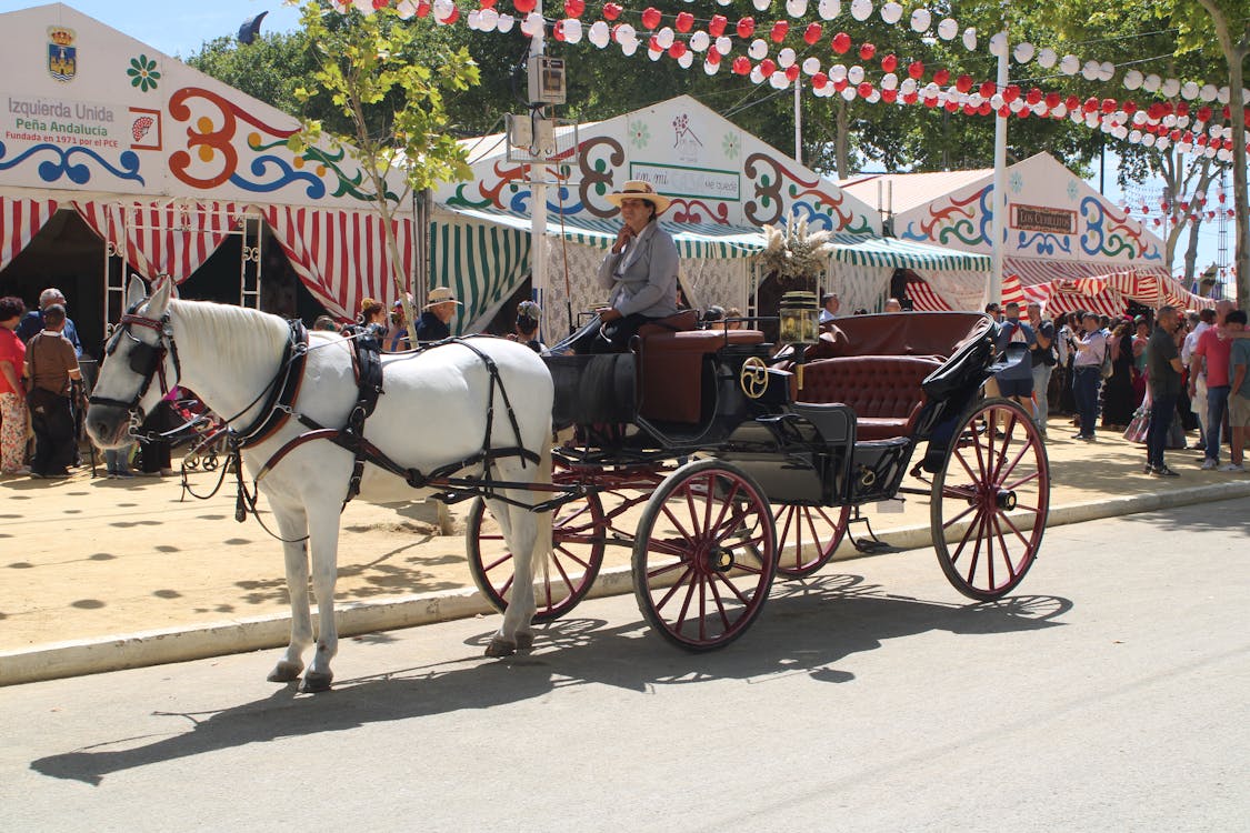 feria de la primavera en El Puerto de Santa María | coches de caballos - fotografía 20