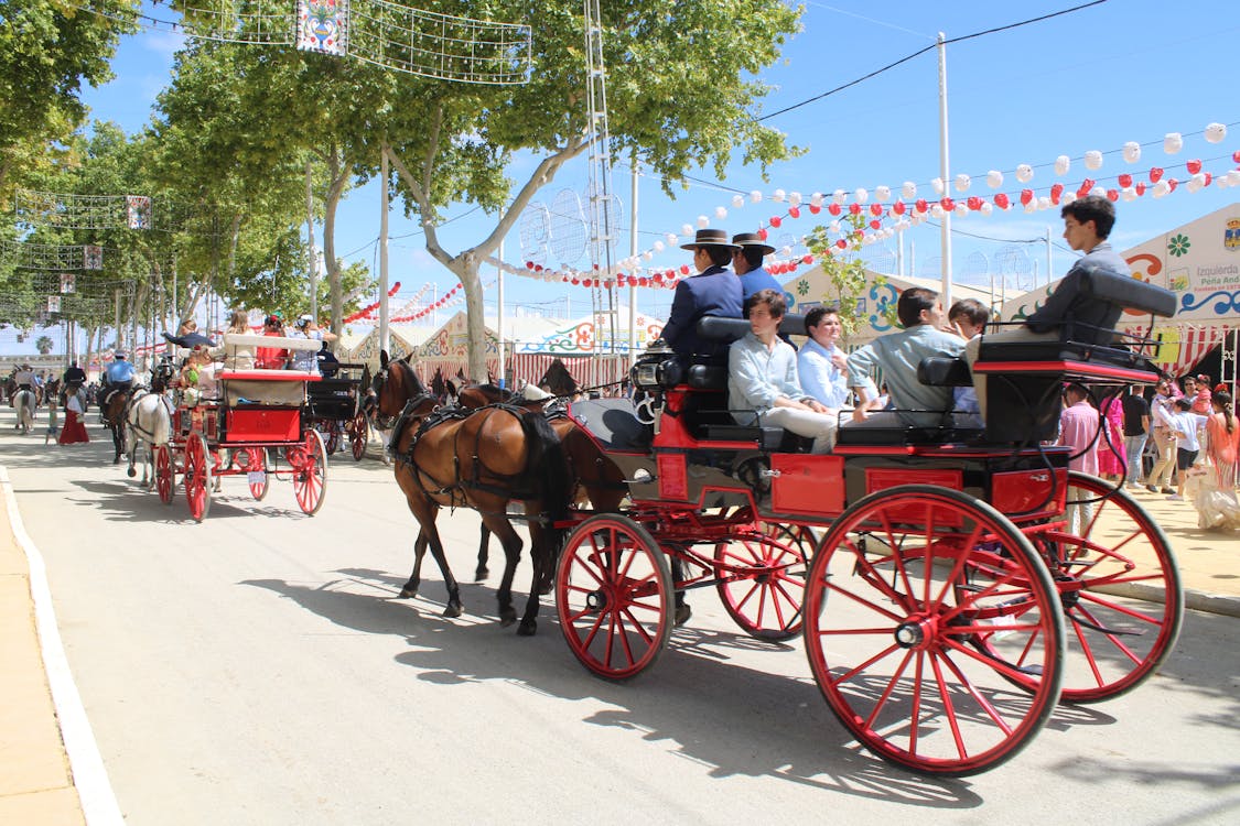 feria de la primavera en El Puerto de Santa María | coches de caballos - fotografía 19