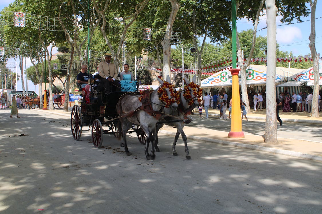 feria de la primavera en El Puerto de Santa María | coches de caballos - fotografía 18
