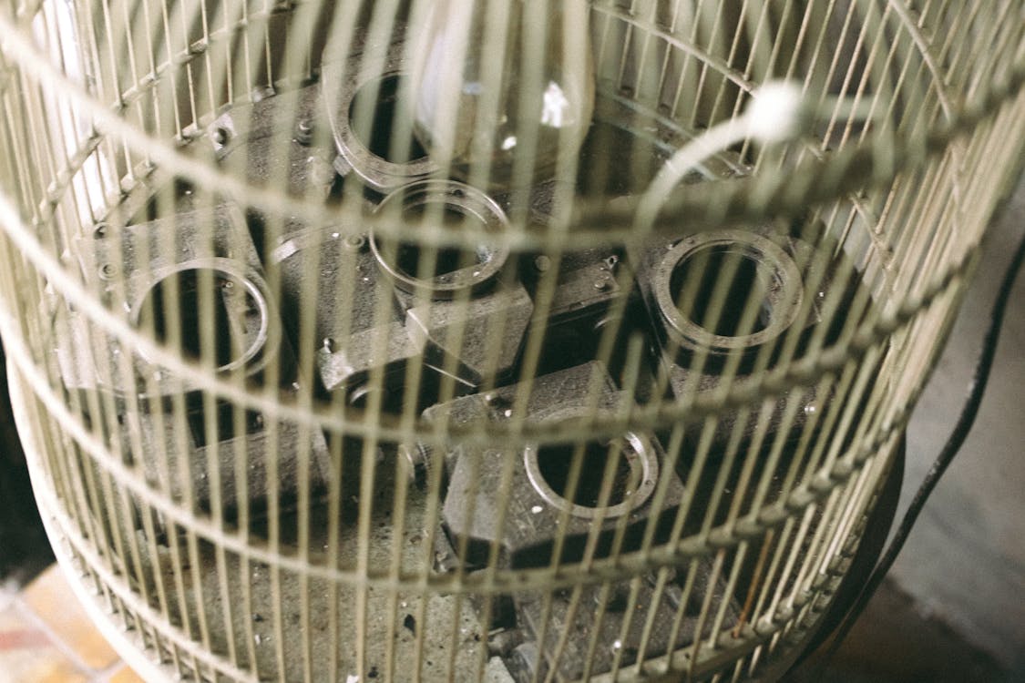 Free Cylindrical Birdcage Stock Photo