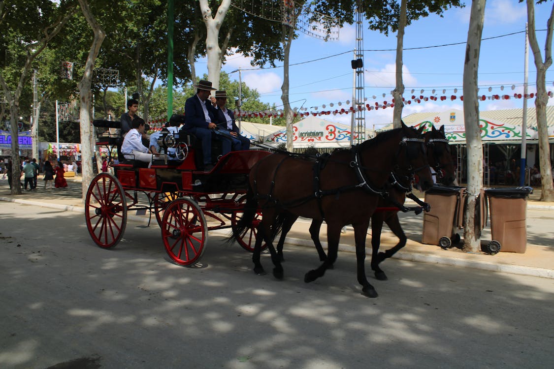 feria de la primavera en El Puerto de Santa María | coches de caballos - fotografía 23