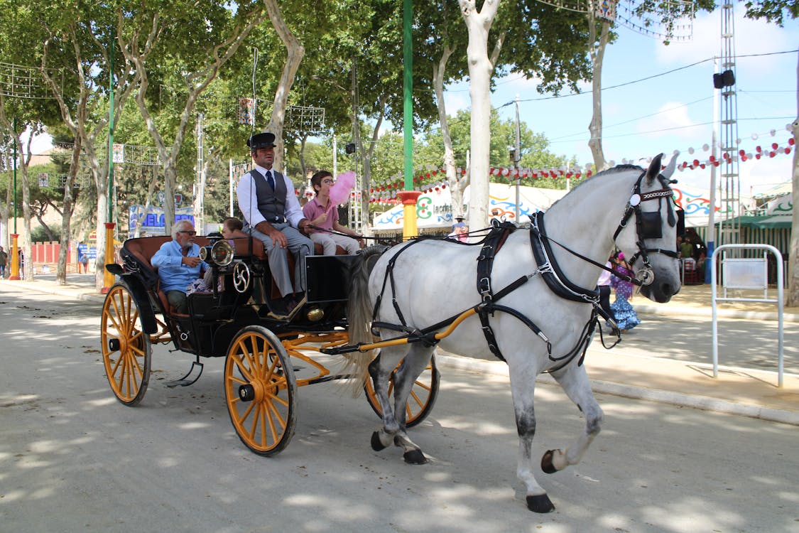 feria de la primavera en El Puerto de Santa María | coches de caballos - fotografía 22