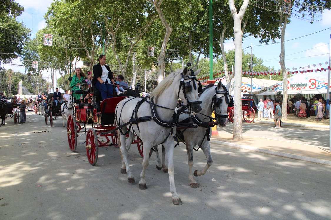 feria de la primavera en El Puerto de Santa María | coches de caballos - fotografía 21