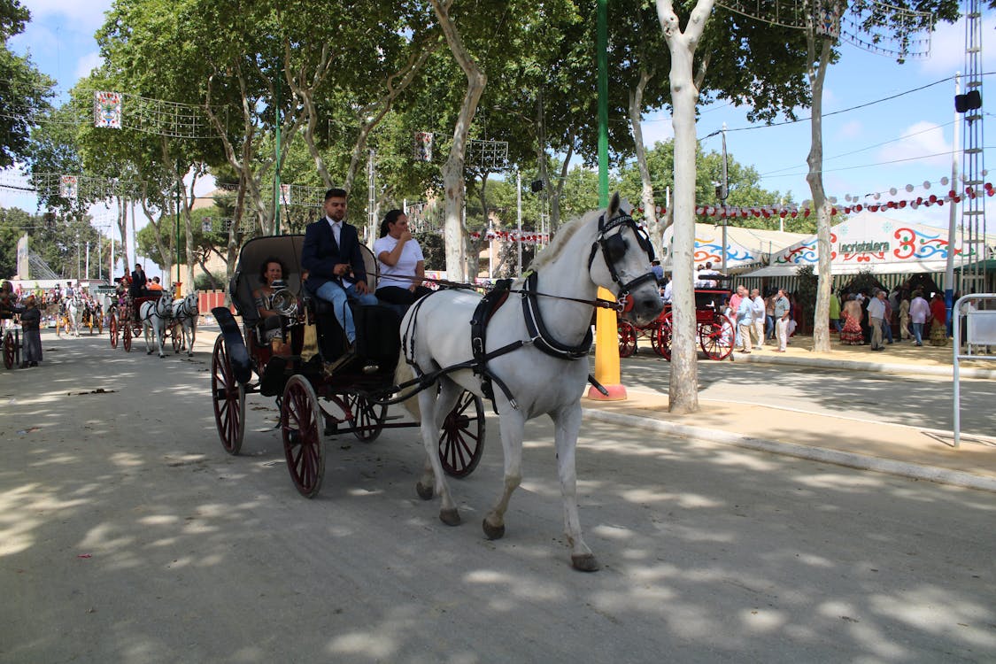 feria de la primavera en El Puerto de Santa María | coches de caballos - fotografía 25