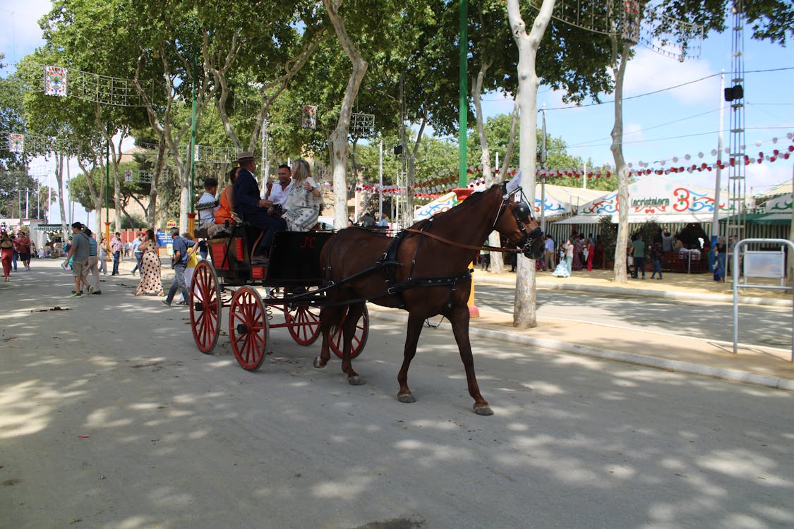 feria de la primavera en El Puerto de Santa María | coches de caballos - fotografía 24