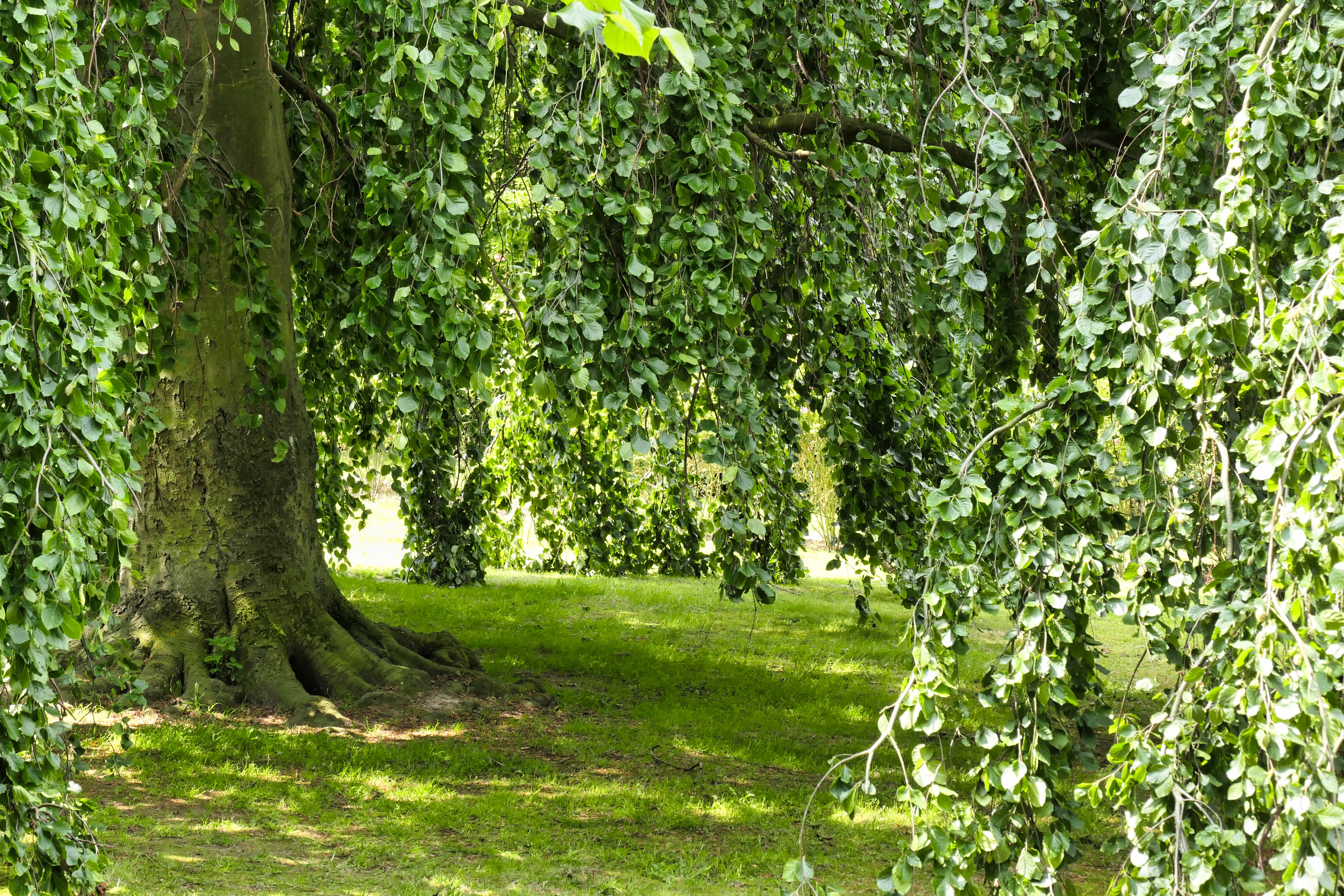 Vliegenbos & Buiksloterham Green Corridor