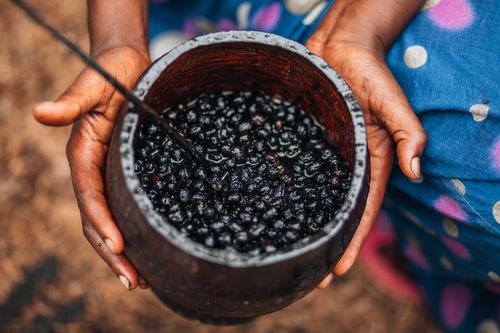 Free Close-up of a woman holding a bowl of fresh açaí berries, emphasizing natural texture and color. Stock Photo