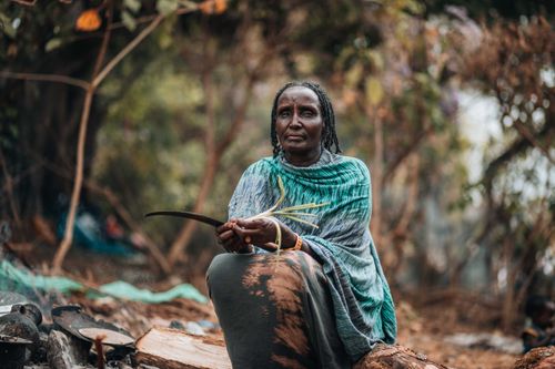 Free African woman with braided hair holding knife, sitting in a forest, wearing traditional attire. Stock Photo