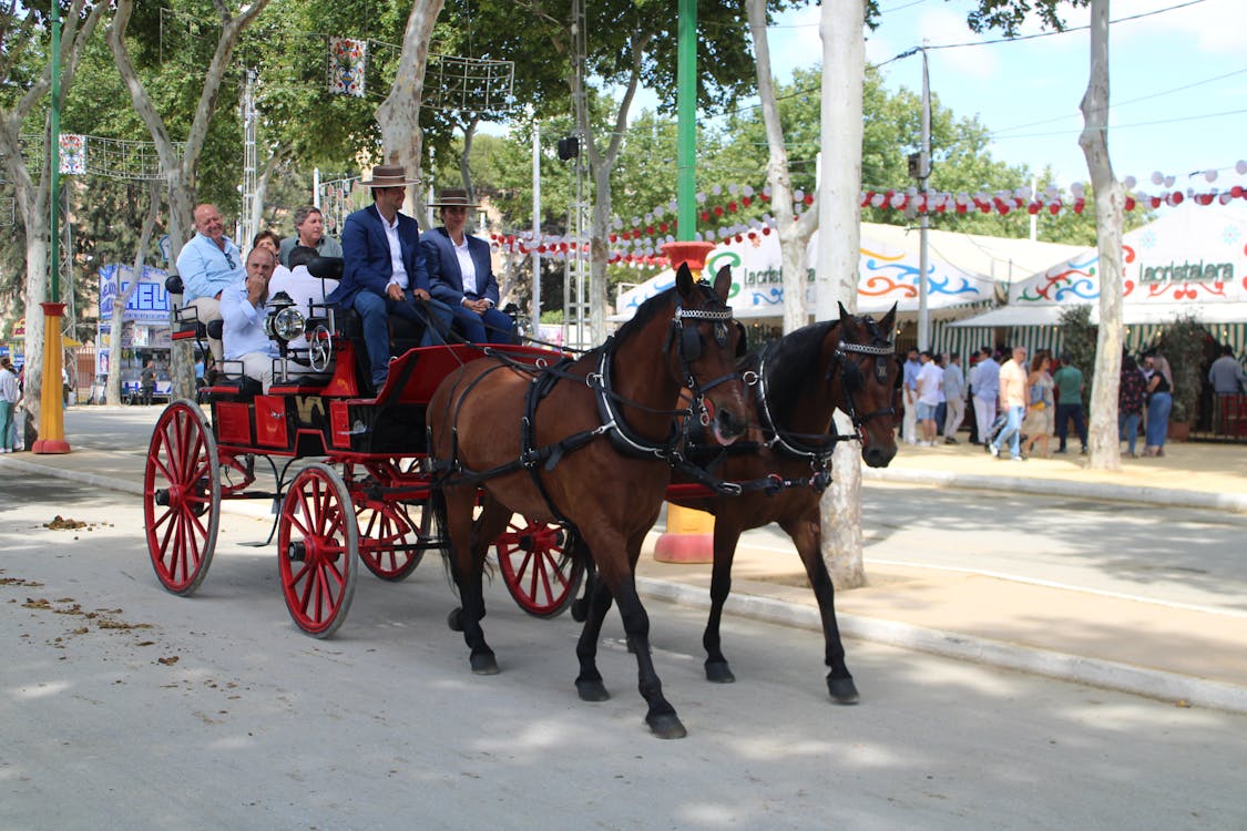 feria de la primavera en El Puerto de Santa María | coches de caballos - fotografía 27