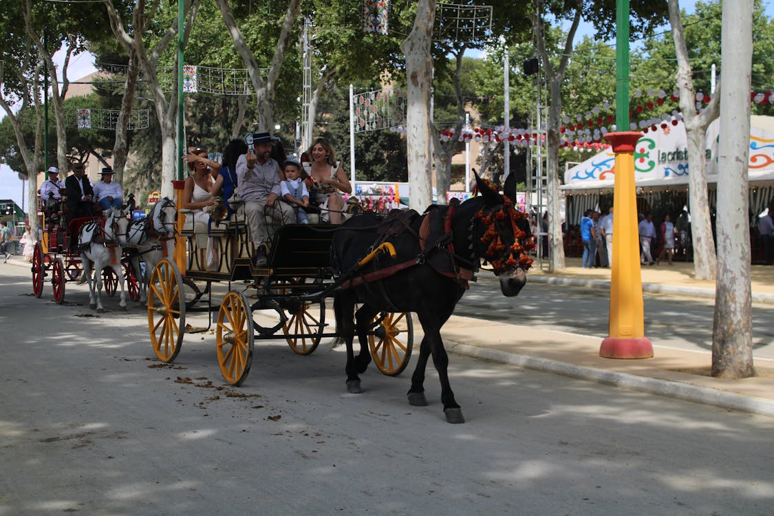 feria de la primavera en El Puerto de Santa María | coches de caballos - fotografía 26