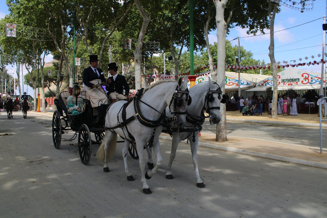 feria de la primavera en El Puerto de Santa María | coches de caballos - fotografía 30