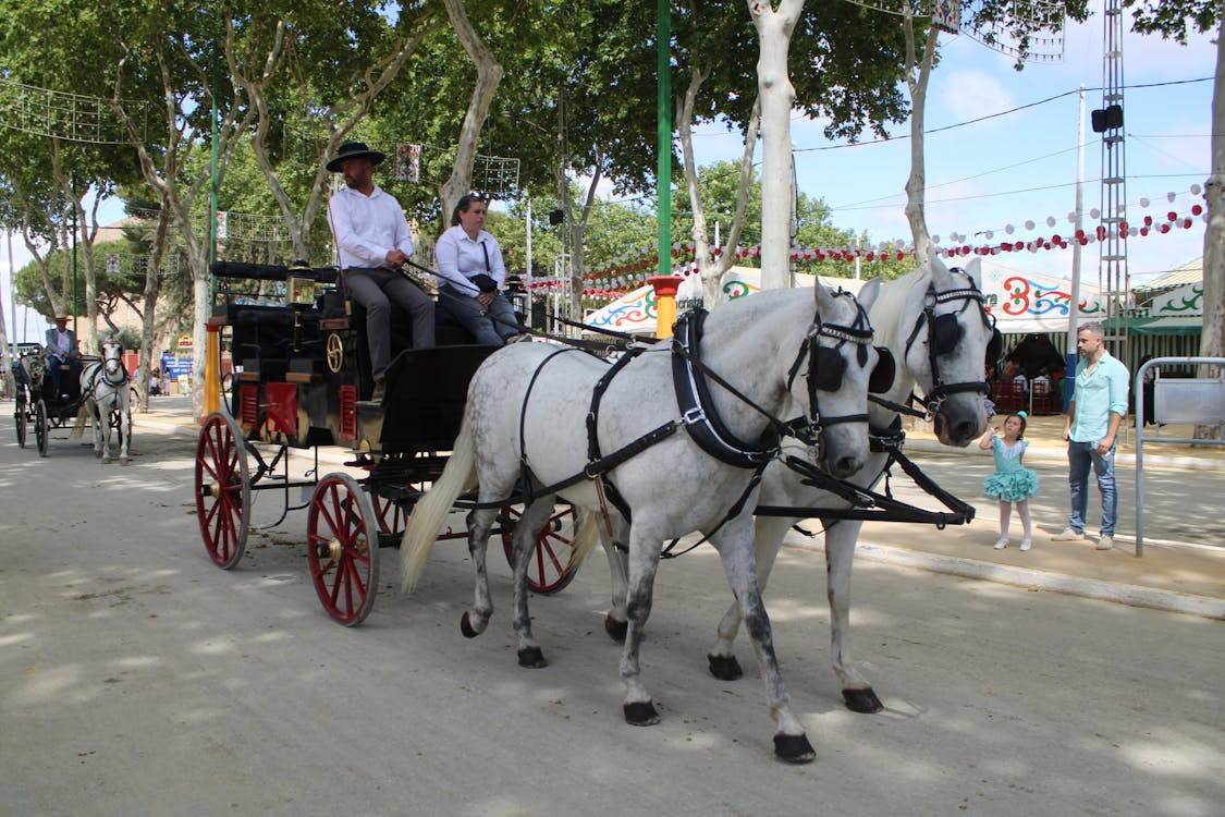 feria de la primavera en El Puerto de Santa María | coches de caballos - fotografía 28