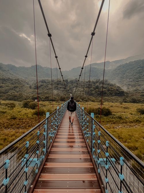 Free A lone traveler walks a suspension bridge in a lush, misty landscape. Stock Photo