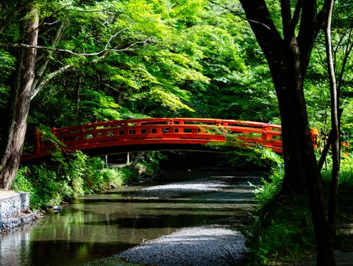 Free A traditional Japanese red bridge over a tranquil stream surrounded by lush greenery. Stock Photo