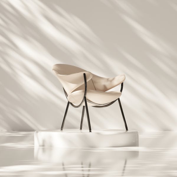 Furniture chair