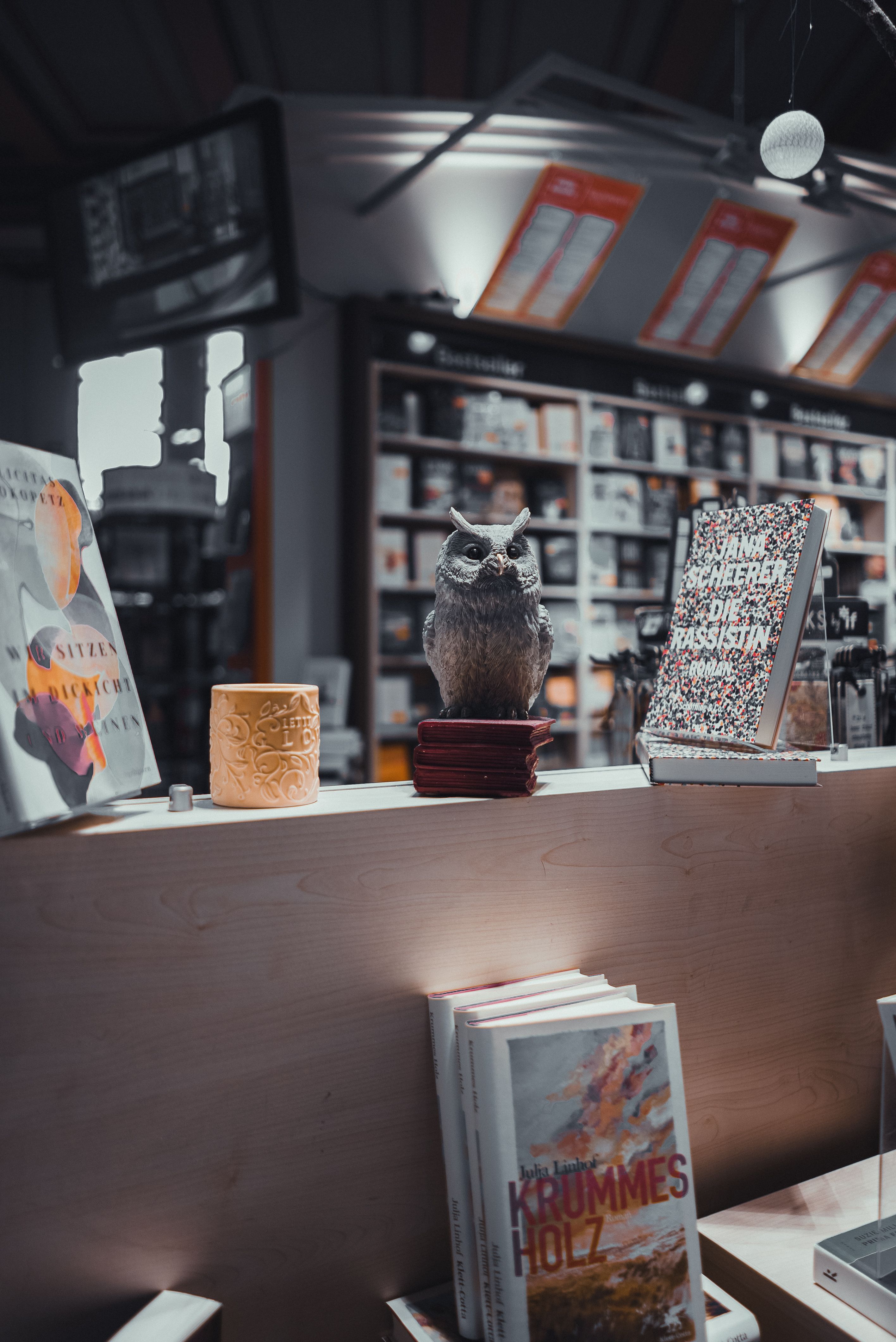 Woman Sitting Down On Bench And Reading Infront of Store · Free Stock Photo