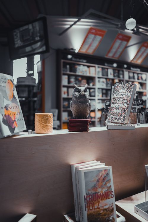 Woman Sitting Down On Bench And Reading Infront of Store · Free Stock Photo